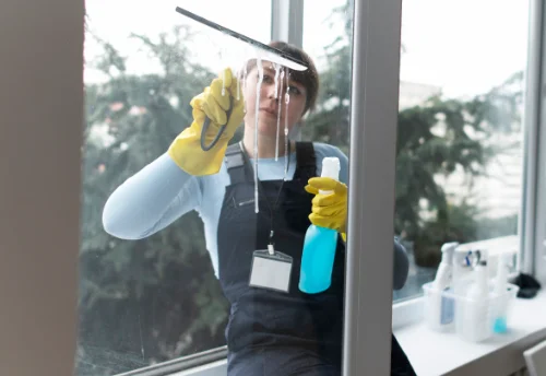 Nettoyage de vitres intérieures et extérieures à Ramouzens